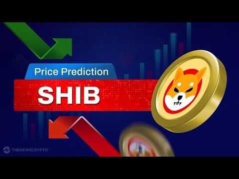 What The Shiba Inu Coin&#039;s Price Could Be In 2023, 2025, 2030, 2040, And 2050.