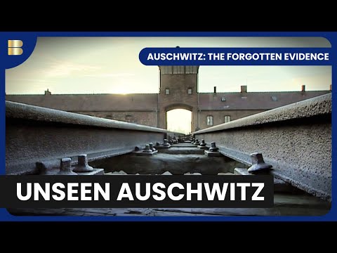 Auschwitz: The Forgotten Evidence - History Documentary