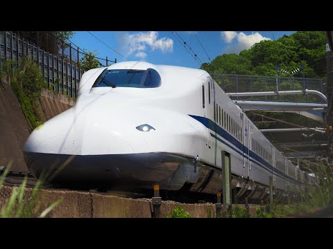 Essential Tips for Navigating Japan&#039;s Shinkansen Like a Pro