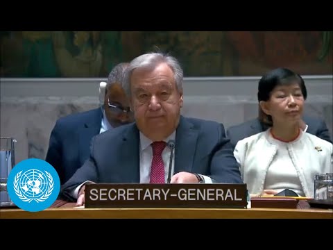 Evolving Threats in Cyberspace - UN Chief Briefing at the Security Council | United Nations