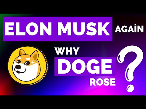 Elon Musk Intervenes - Find Out What Made Dogecoin Soar!