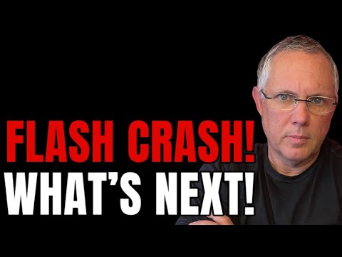 Crypto Flash Market Crash! What&#039;s Next For Investors?