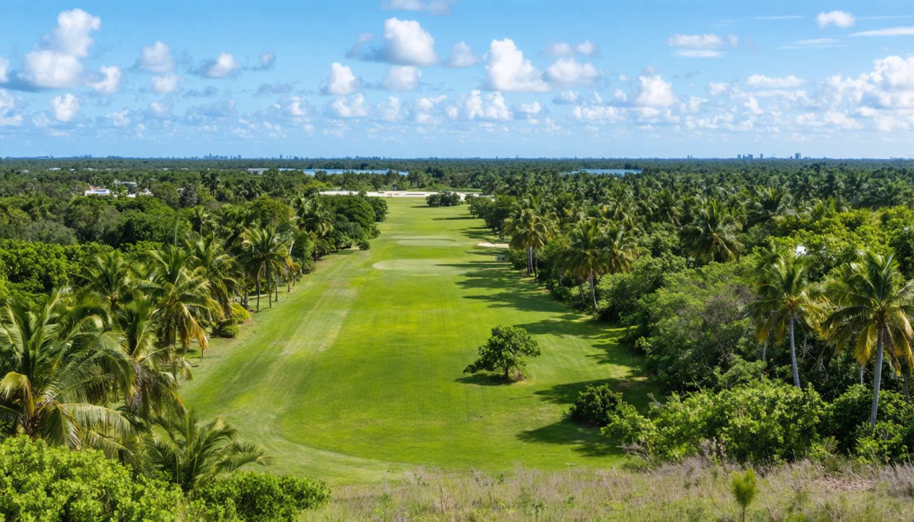 Last Pristine Acres in Palm Beach Could Be Yours for $200 Million